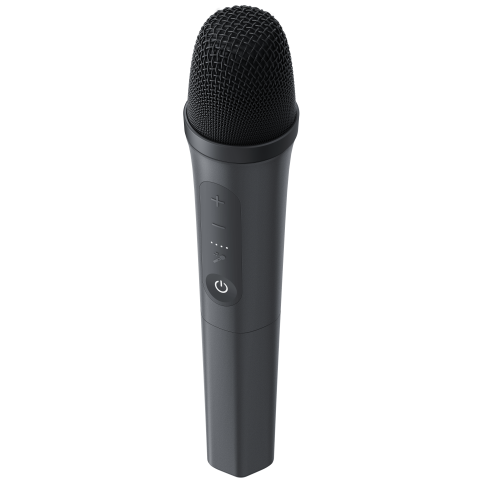 Портативна акустика ANKER SoundCore Rave 3S Black