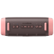 Портативна акустика ANKER SoundСore Boom 3i Коричневий